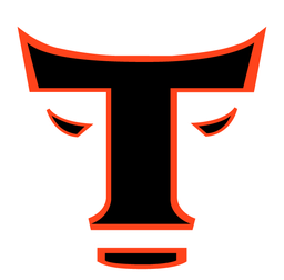 Toros del Este